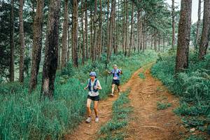 BIB: 
                            <button type="button" onclick="openModal(25661127)" class="btn btn-primary btn-sm float-right btn-popup" data-toggle="modal" data-target=".modal-high-quality">
                        <i class="fas fa-shopping-cart"></i> Add to Cart
                    </button>
                                            <button type="button" onclick="isThisMe(25661127, true)" class="btn btn-success btn-sm float-right btn-popup btn-isme hidden" data-toggle="tooltip" data-placement="bottom" title="นี่คือรูปของคุณใช่ไหม คลิกที่นี่เพื่อเอาเข้าอัลบั้ม">
                        <i class="fas fa-plus"></i> Add to album
                    </button>
                    <button type="button" onclick="isThisMe(25661127, false)" class="btn btn-warning btn-sm float-right btn-popup btn-isnotme hidden">
                        <i class="fas fa-ban"></i> Remove from album
                    </button>